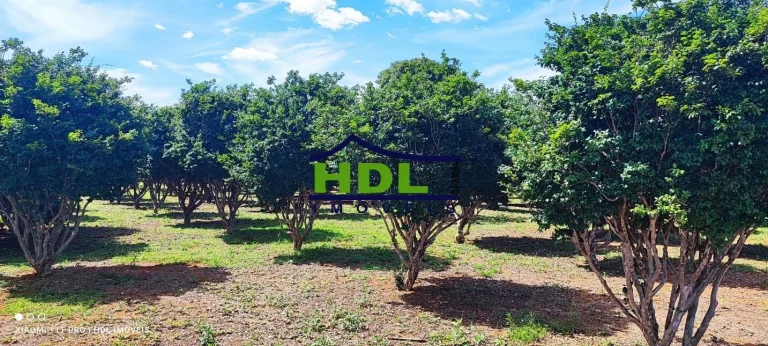 Imagem Chácara 4,34 Hectares com 5 Tanques de peixes em Hidrolândia