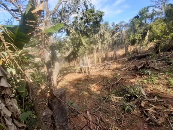 Imagem Terreno de 4.357 m² Só fazer pequena Terraplanagem Para Construir sua Casa em Socorro-SP