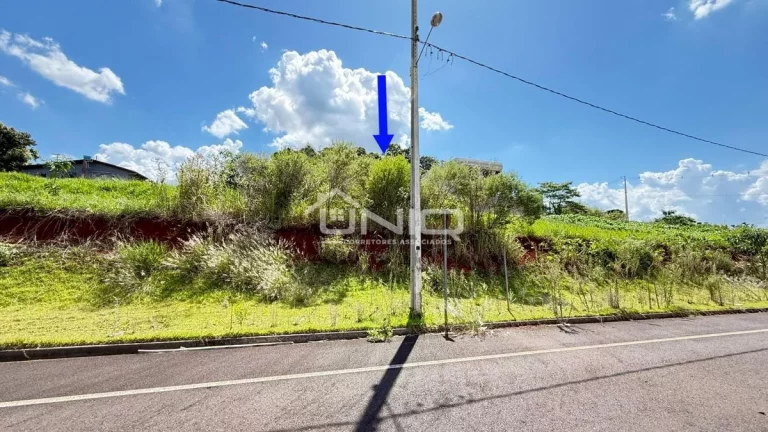 Imagem Terreno Loteamento Avelino Marcante - Bairro Pinheiros