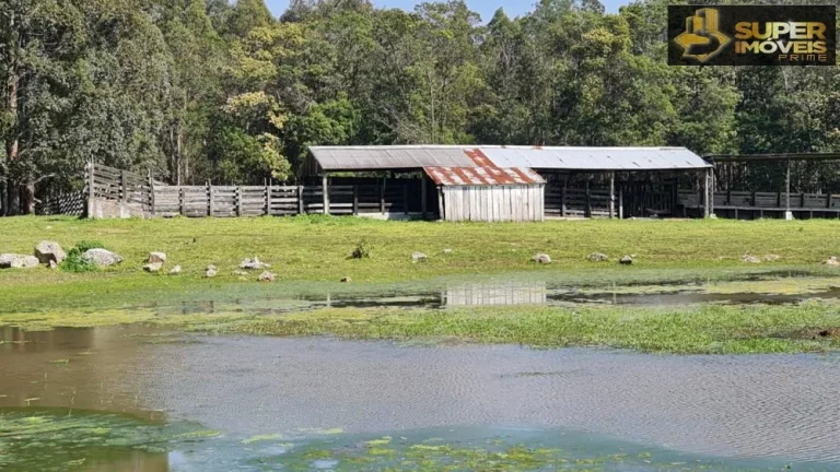 Imagem Fazenda Mista em Pedras Altas-RS
