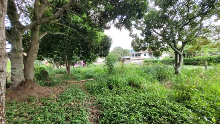 Foto do imóvel: TERRENO RESIDENCIAL em SERRA - ES, ENSEADA DE JACARAÍPE