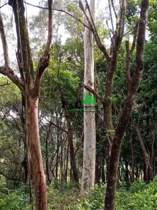 Imagem Terreno para Venda em Rio Claro, Área Rural de Rio Claro