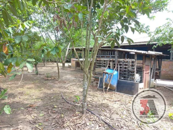Imagem Chácara 2 hectares 25km de Porto Velho