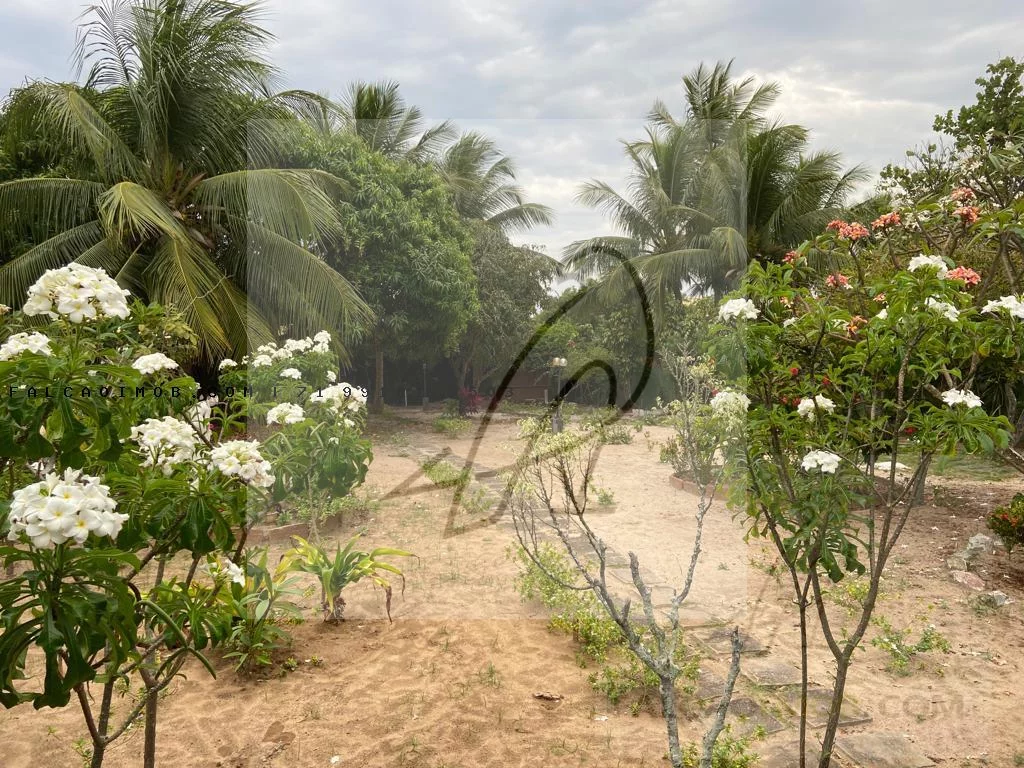 Imagem Terreno para Venda em Lauro de Freitas / BA no bairro Ipitanga