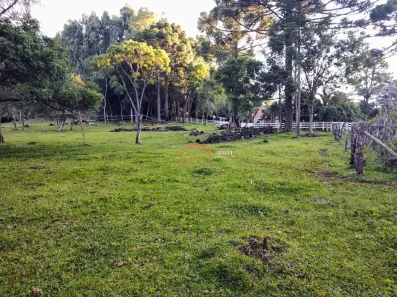 Imagem CHACARA RURAL em CAMPO BELO DO SUL - SC, Interior