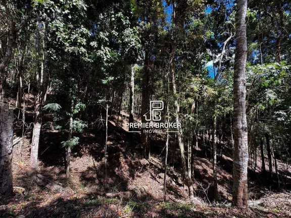 Imagem Terreno à venda, 10.793m² por R$ 440.000 - Albuquerque - Teresópolis/RJ