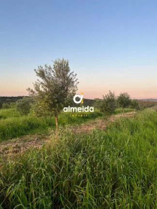 Imagem Chácara 3 dormitórios à venda Zona Rural Butiá/RS