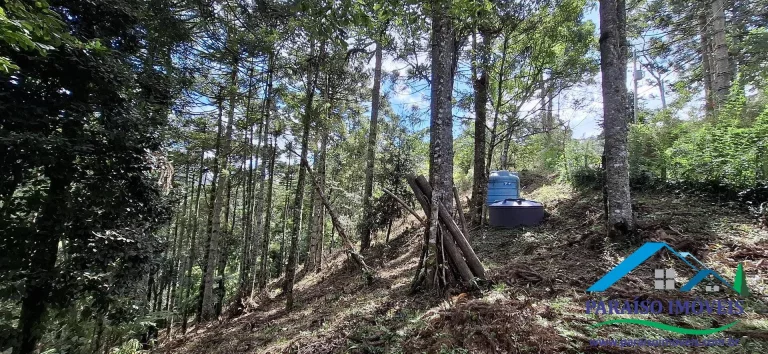 Imagem Seu Paraíso Particular a Passos da Cachoeira do Simão em Gonçalves!