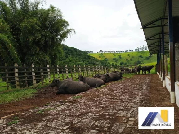 Imagem Fazenda à Venda, 968.000 m² em área Rural - Brasópolis