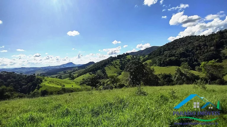Imagem Paraíso Particular: 14,32 ha, com Vista Panorâmica e Natureza Preservada!