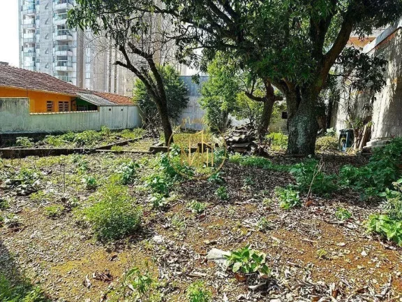 Imagem Terreno para Venda em Santo André, Vila Alpina