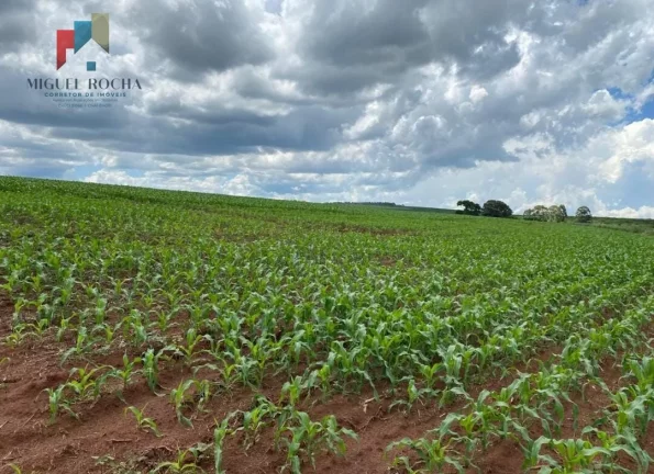 Imagem Fazenda região de Avaré SP