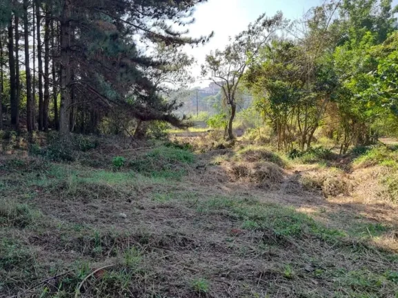 Imagem Fazendinha - LOTE 1.420,00 m², plano e sem árvores grande porte!