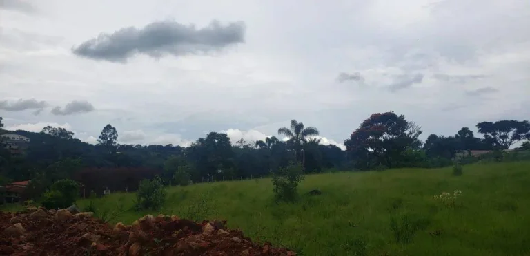 Imagem Lote à venda – 5.334,41 m2 – Colônia Rodrigo Silva