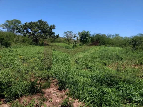 Imagem Vendo Fazenda com 203 tarefas (884.268m) em Irará - Ba