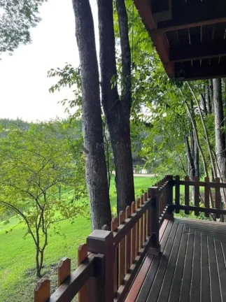 Imagem Chácara Alto Padrão em Goianira | Ideal para Pousada ou Airbnb