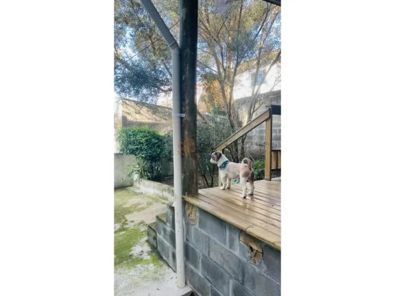 Imagem Casa CONCÓRDIA - SC