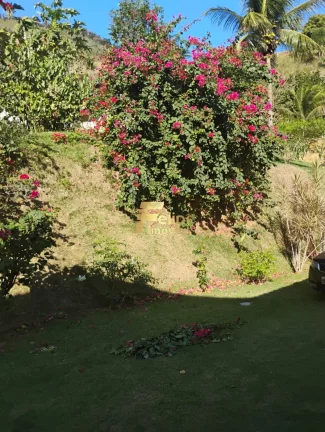 Imagem EXCELENTE SÍTIO À VENDA NA REGIÃO DE IGUAPE, GUARAPARI/ES!