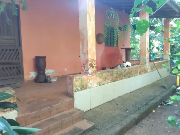 Imagem TERRENO DE 1094 MT2 NA MAQUINHA, COM CASA CAIÇARA E VARIAS ARVORES FRUTIFERAS , PROXIMO DE TODA A INFRA-EXTRUTURA DE BOIÇUCANGA,