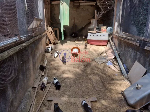 Imagem Imóveis Belém vende casa no condomínio Jardim dos pássaros em Bahia Imagem Imóveis Belém vende casa no condomínio Jardim dos pássaros em Bahia