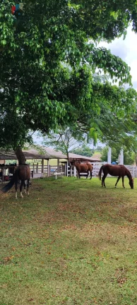 Imagem Sítio região Itapetininga SP