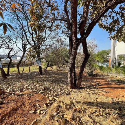 Imagem Terreno à venda, 1000 m² por R$ 600.000,00 - Condomínio Encanto da Lagoa - Lagoa Santa/MG