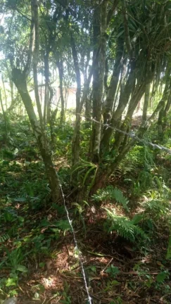 Imagem Terreno para Venda em Itanhaém, Jd Marambá