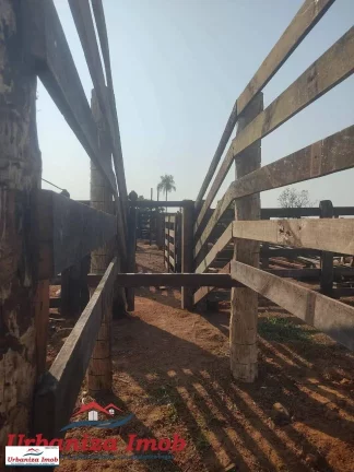 Imagem Fazenda à Venda no Município de Camapuã/MS contendo 1003 hectares com Formação 50% feito esse ano | Mangueiro Novo sendo finalizado | 18 KM da Rodovia