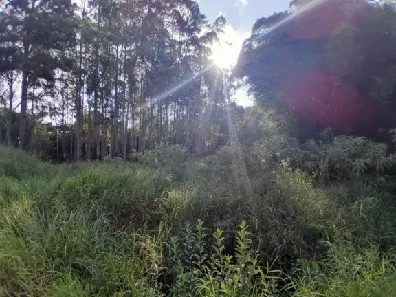 Imagem Lote à venda em Barbacena, Colônia Rodrigo Silva, 2500m2