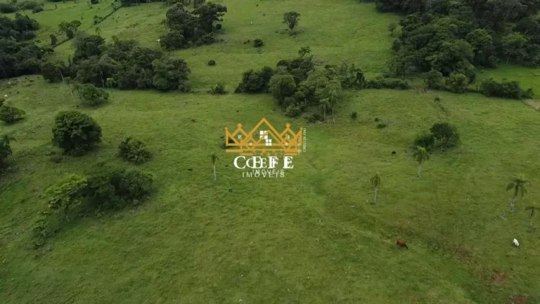Imagem Chácara - Sítio com 3 Dormitorio(s) localizado(a) no bairro Zona Rural em Igrejinha / RIO GRANDE DO SUL Ref.:1386
