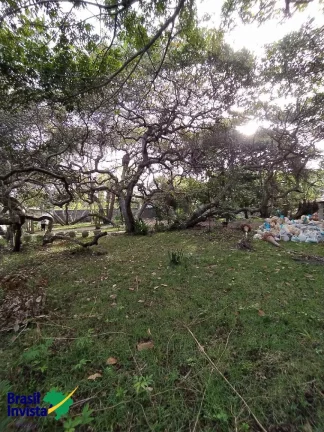 Imagem ÁREA EM ARRAIAL D'AJUDA