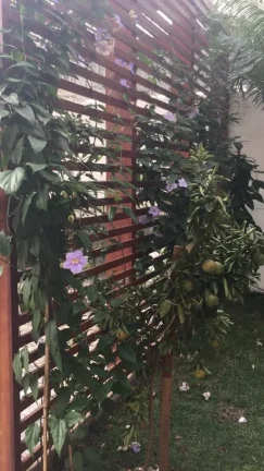 Imagem Ótima casa no Pacaembu