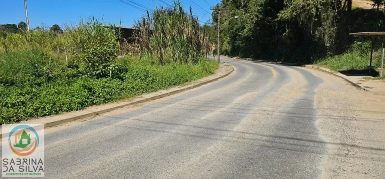 Imagem Lote/Terreno - Testo Salto - Blumenau
