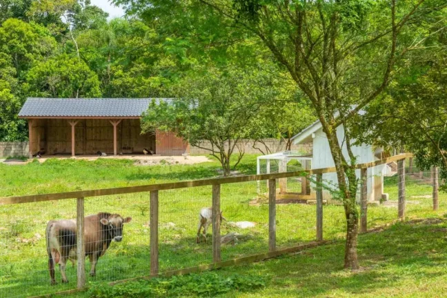 Imagem Terreno em Camboriú - Rio do Meio