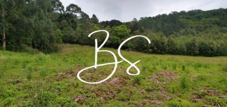 Imagem AREA RURAL em NOVA PETRÓPOLIS - RS, Centro
