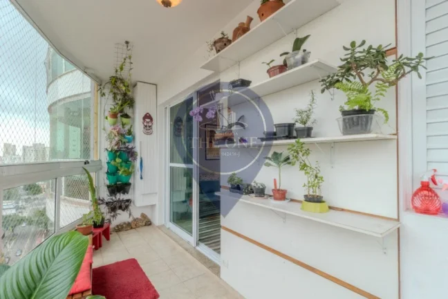 Imagem Imperdível: Apartamento à venda em São Paulo-SP, Saúde - 3 quartos, 3 suítes, 2 salas, 5 banheiros, 3 vagas, 116m².