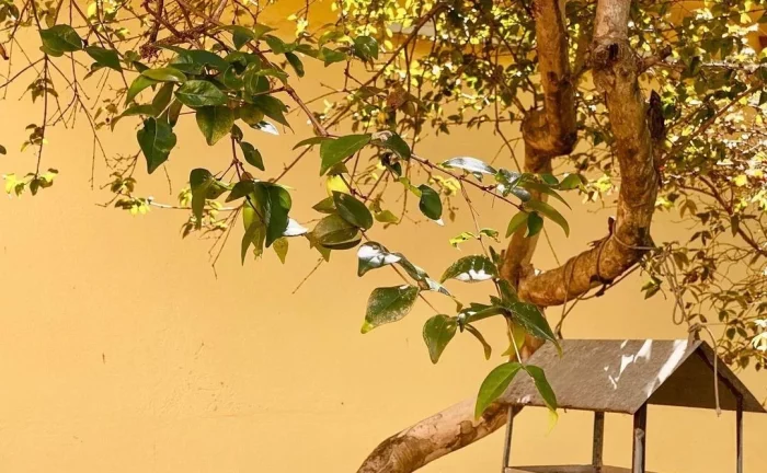 Imagem CASA RESIDENCIAL em GUARAPARI - ES, SANTA MÔNICA