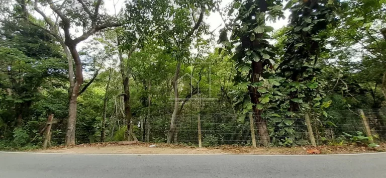 Imagem Terreno para Venda em Florianópolis / SC no bairro Vargem Grande