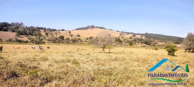 Imagem Fazendinha Completa à Venda em Paraisópolis: 56,9 hectares