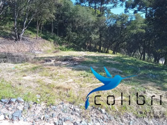 Terreno à Venda, 1.820 m² em Leão - Agudos Do Sul
