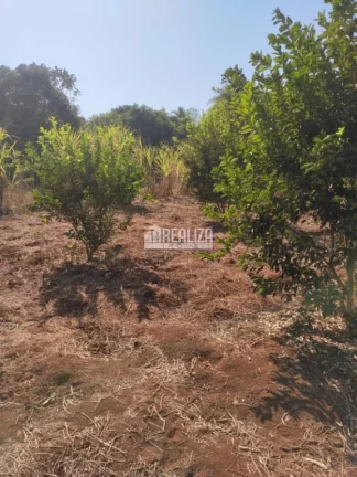 Imagem Chácara à venda próximo à Delta: seu refúgio rural na cidade