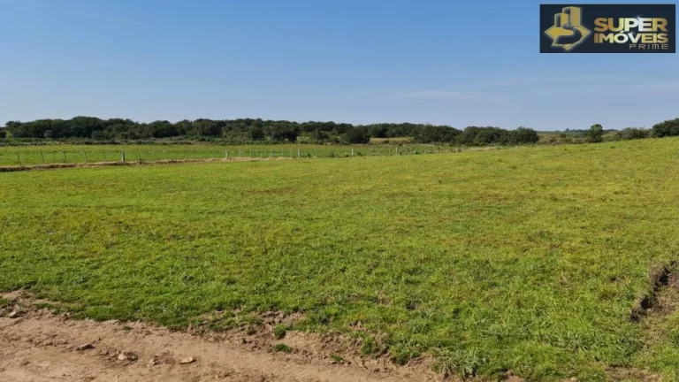 Imagem Fazenda Mista em Pedras Altas-RS