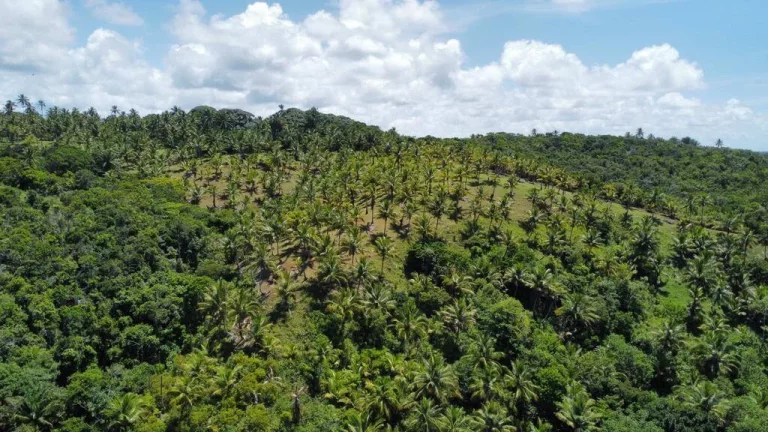 Imagem Natureza Serra Grande