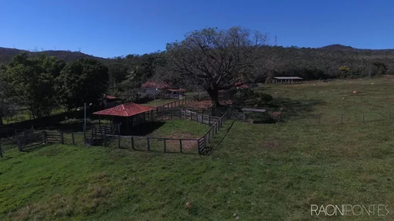 Imagem Fazenda à Venda, 94.041.000 m² em Zona Rural - Ipameri