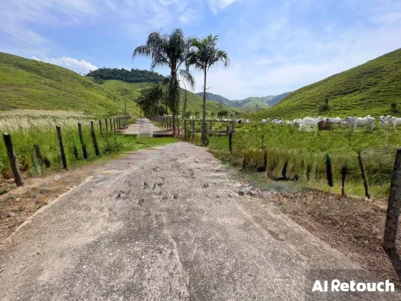 Imagem Vendo Fazenda Araruama município de Basilio com 350 cabeças de Gados