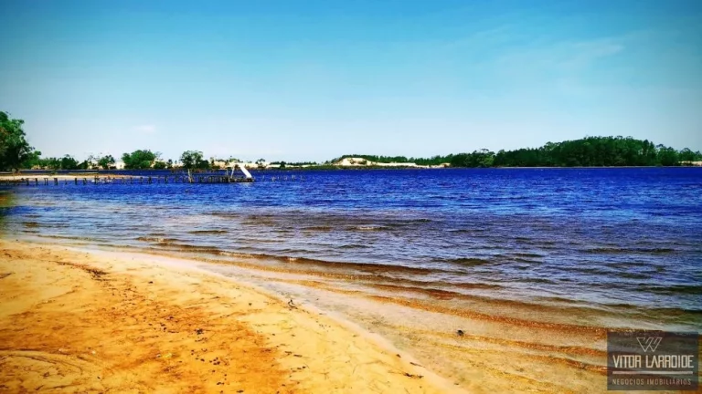Imagem Fazenda à Venda em Jaguaruna, SC - 485,9 Hectares