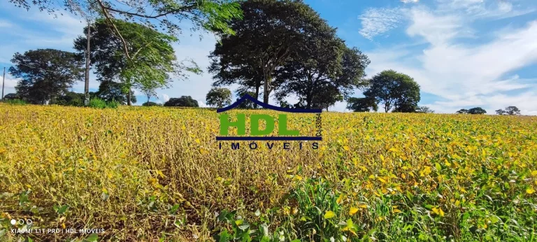 Imagem Chácara de 2 alqs com Água em Abundância e terra de Cultura