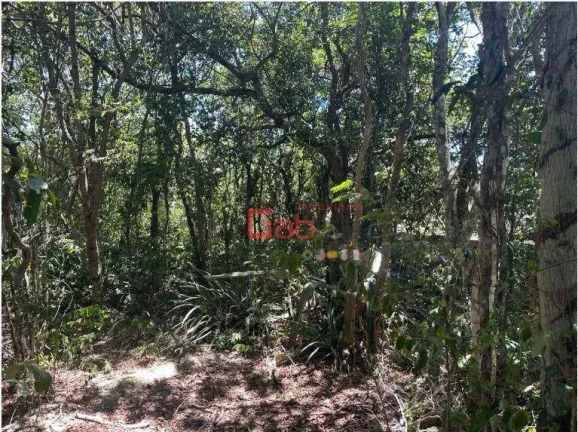 Imagem Terreno à venda, 450 m² por R$ 220.000,00 - Caravelas - Armação dos Búzios/RJ