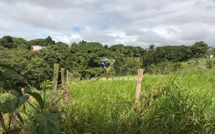 Imagem AREA RESIDENCIAL em SANTA CRUZ CABRÁLIA - BA, TÂNIA