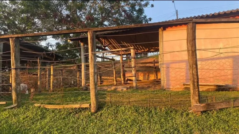 Imagem Chácara para Venda em São Pedro, --------------, 1 dormitório, 1 banheiro, 10 vagas